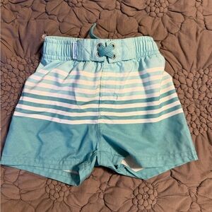 Toddler Striped Aqua Swim Trunks